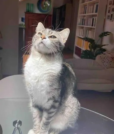 Grace's ラ・スペツィア