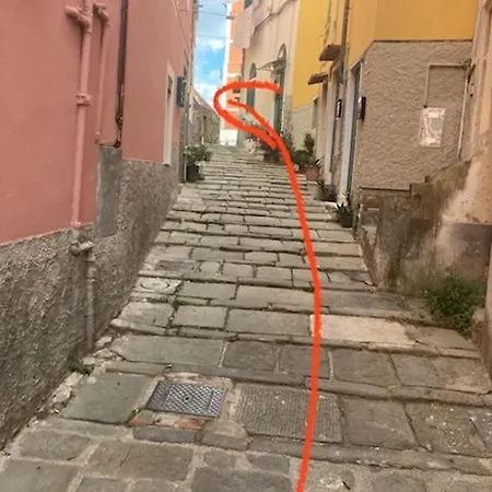 Grace's * La Spezia