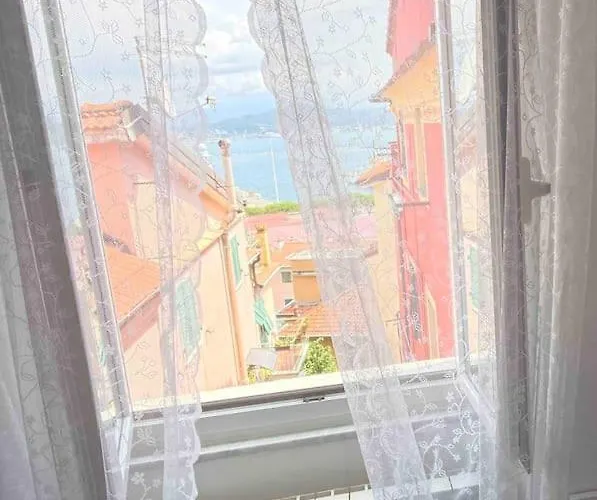 Grace's * 斯培西亚