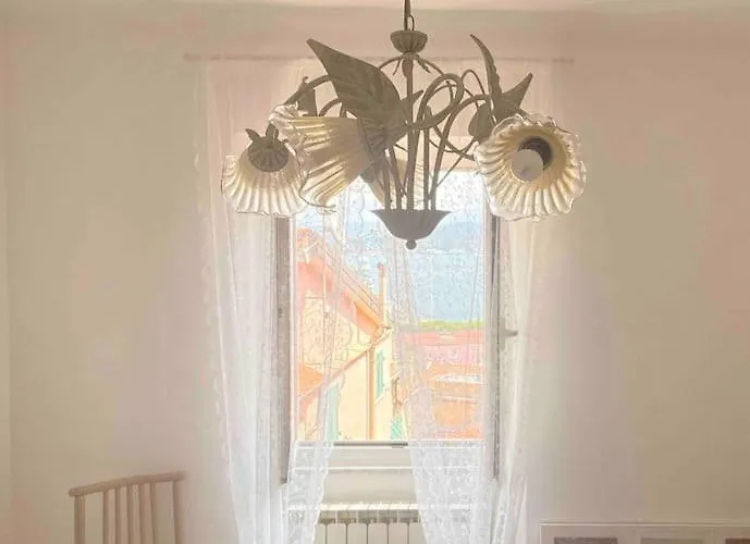 Grace's 斯培西亚