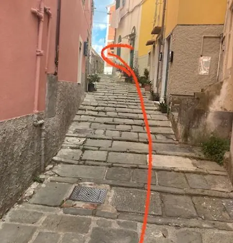 Grace's * 斯培西亚