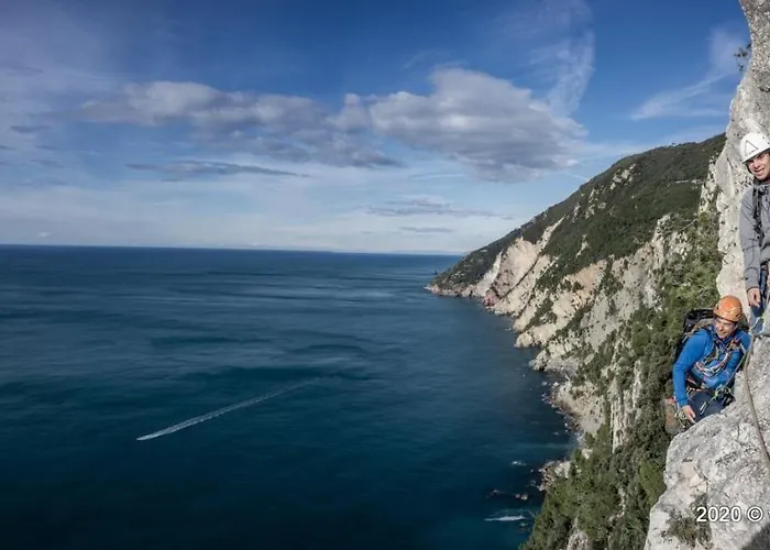 Grace's 斯培西亚